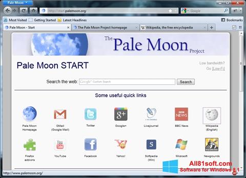 Petikan skrin Pale Moon untuk Windows 8.1
