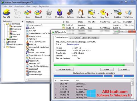 Petikan skrin Internet Download Manager untuk Windows 8.1