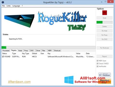 Petikan skrin RogueKiller untuk Windows 8.1