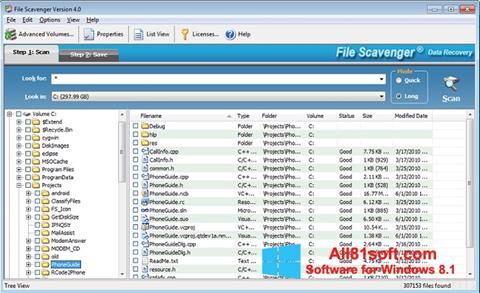 Petikan skrin File Scavenger untuk Windows 8.1