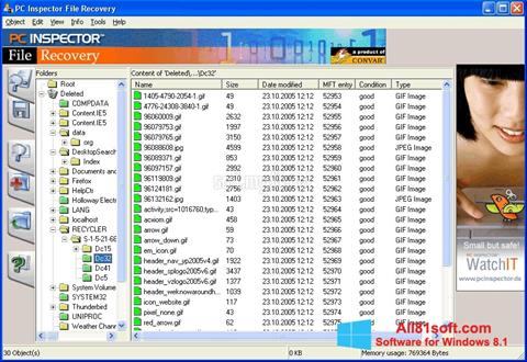 Petikan skrin PC Inspector File Recovery untuk Windows 8.1