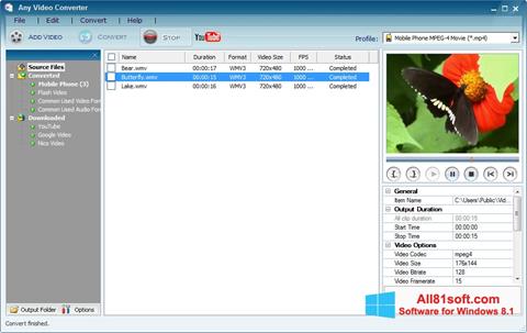Petikan skrin Any Video Converter untuk Windows 8.1