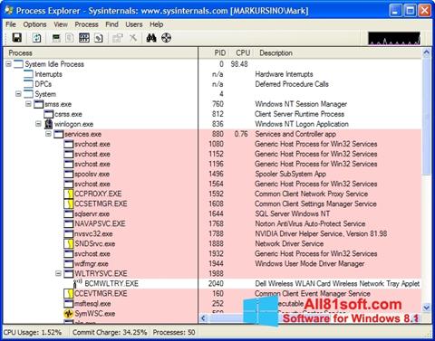 Petikan skrin Process Explorer untuk Windows 8.1