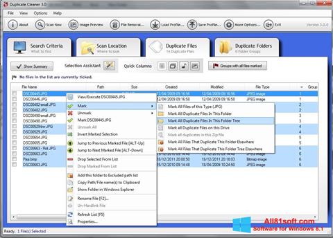 Petikan skrin Duplicate Cleaner untuk Windows 8.1