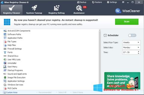 Petikan skrin Wise Registry Cleaner untuk Windows 8.1