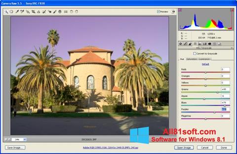 Petikan skrin Adobe Camera Raw untuk Windows 8.1