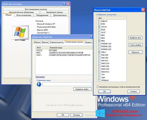 Petikan skrin HashTab untuk Windows 8.1